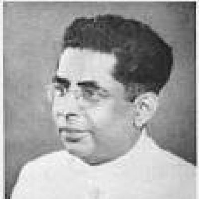 P. V. Rajamannar