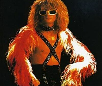 Michel Polnareff