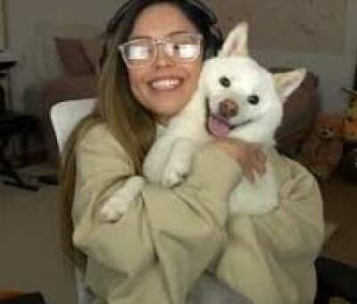 Mika the Shiba