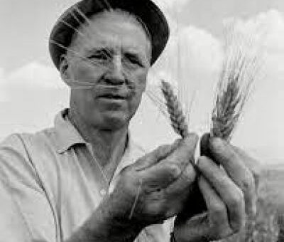 Norman Borlaug