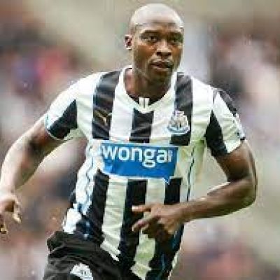 Shola Ameobi