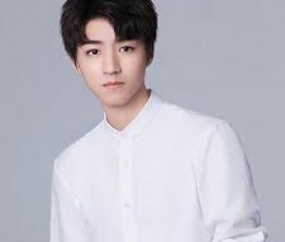 Wang Junkai