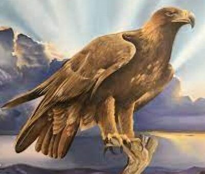 Aguila