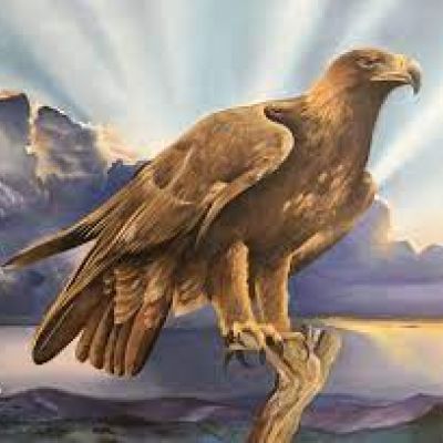 Aguila