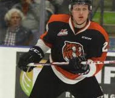 Dalton Gally