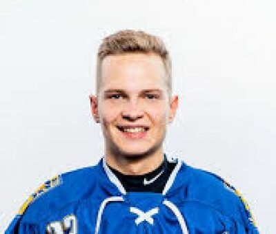 Elvis Dins Kalnberzins