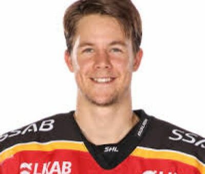 Filip Hållander