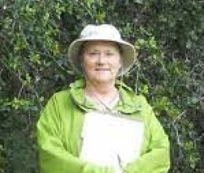 Janne Valerius