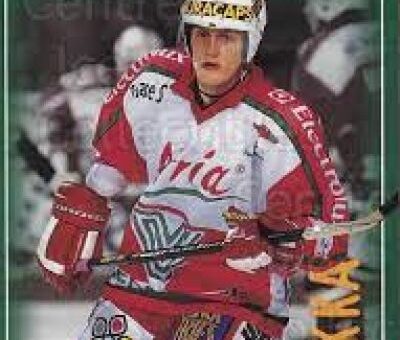 Veli-Pekka Nutikka