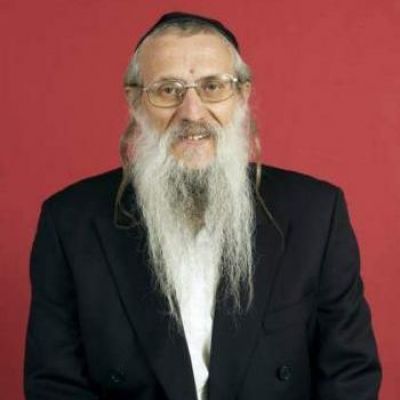 Yosef Mendelevitch