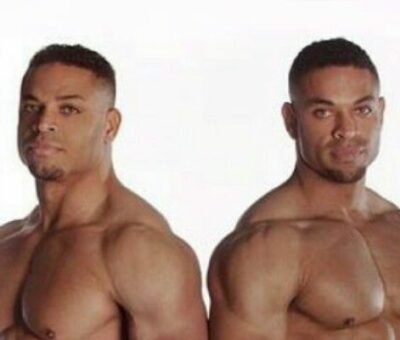 The Hodge Twins