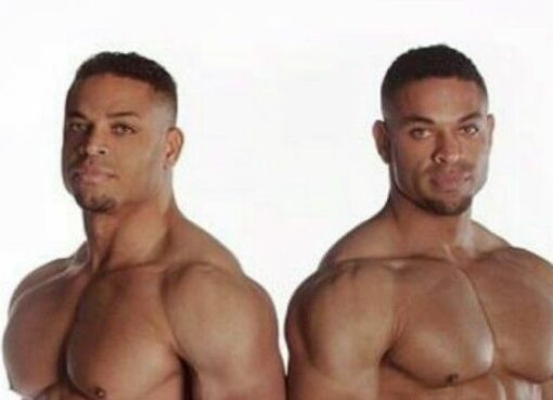 The Hodge Twins
