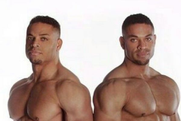 The Hodge Twins