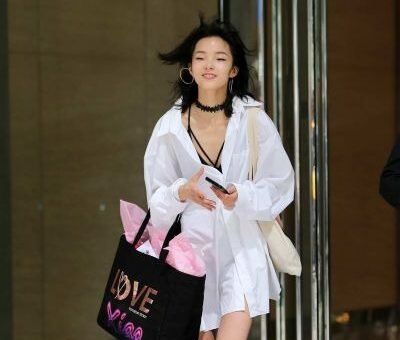 Xiao Wen Ju
