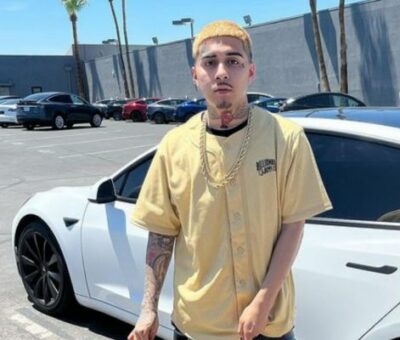 MoneySign Suede