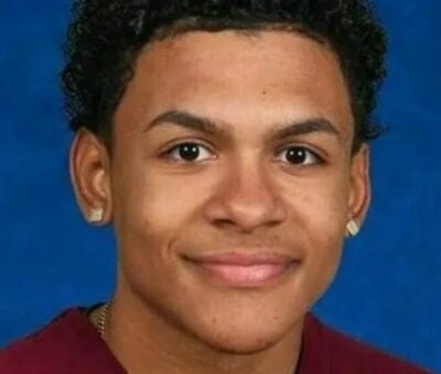 Lesandro Guzman-Feliz