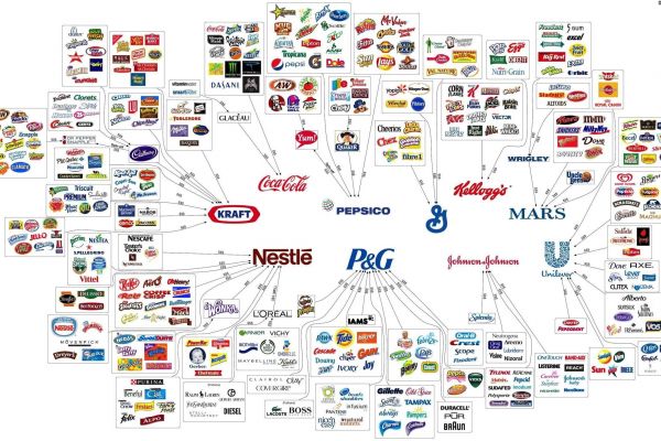 What Companies